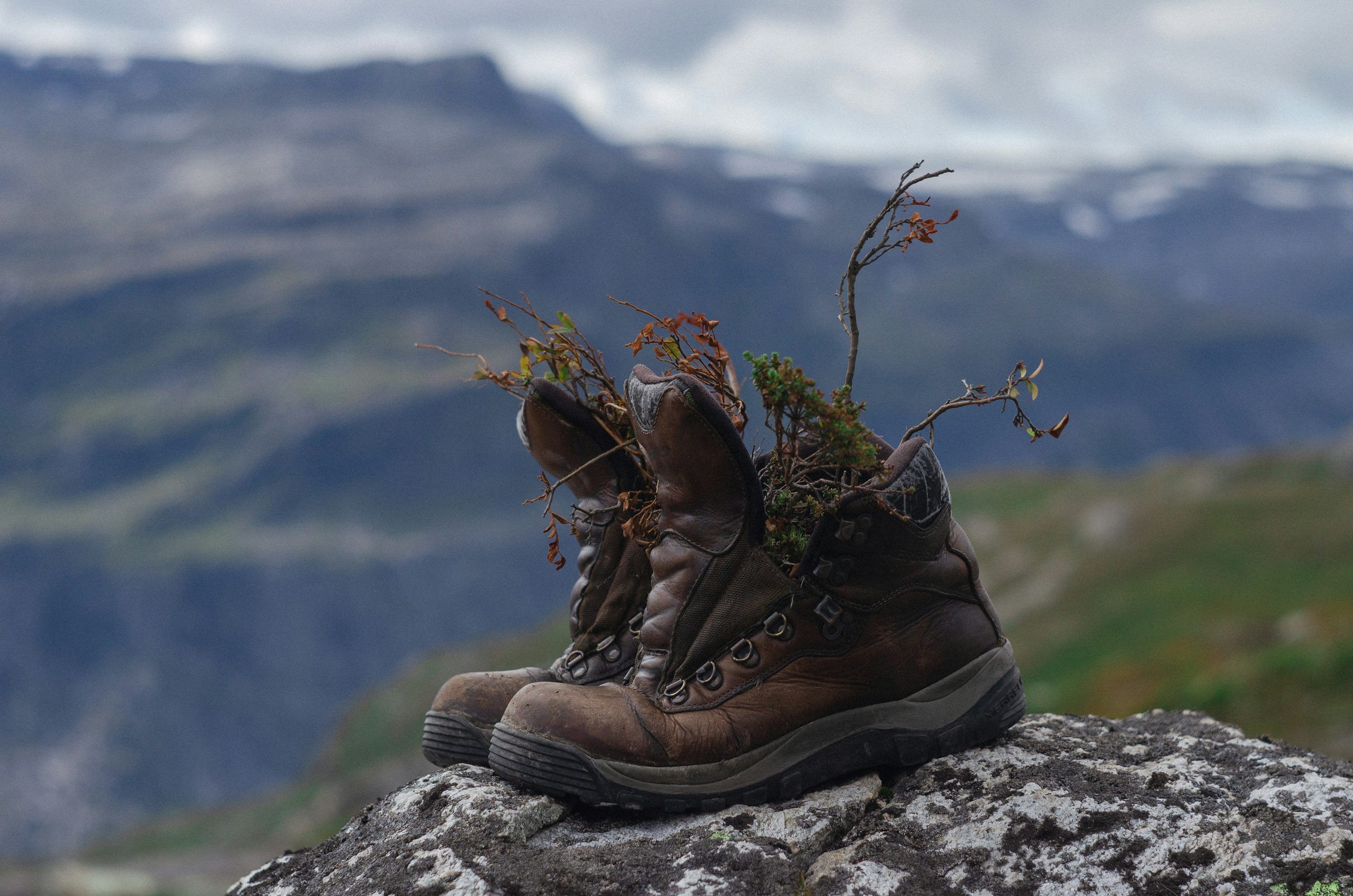 3000x1987 Hiking Boots Picture. Download Free Image