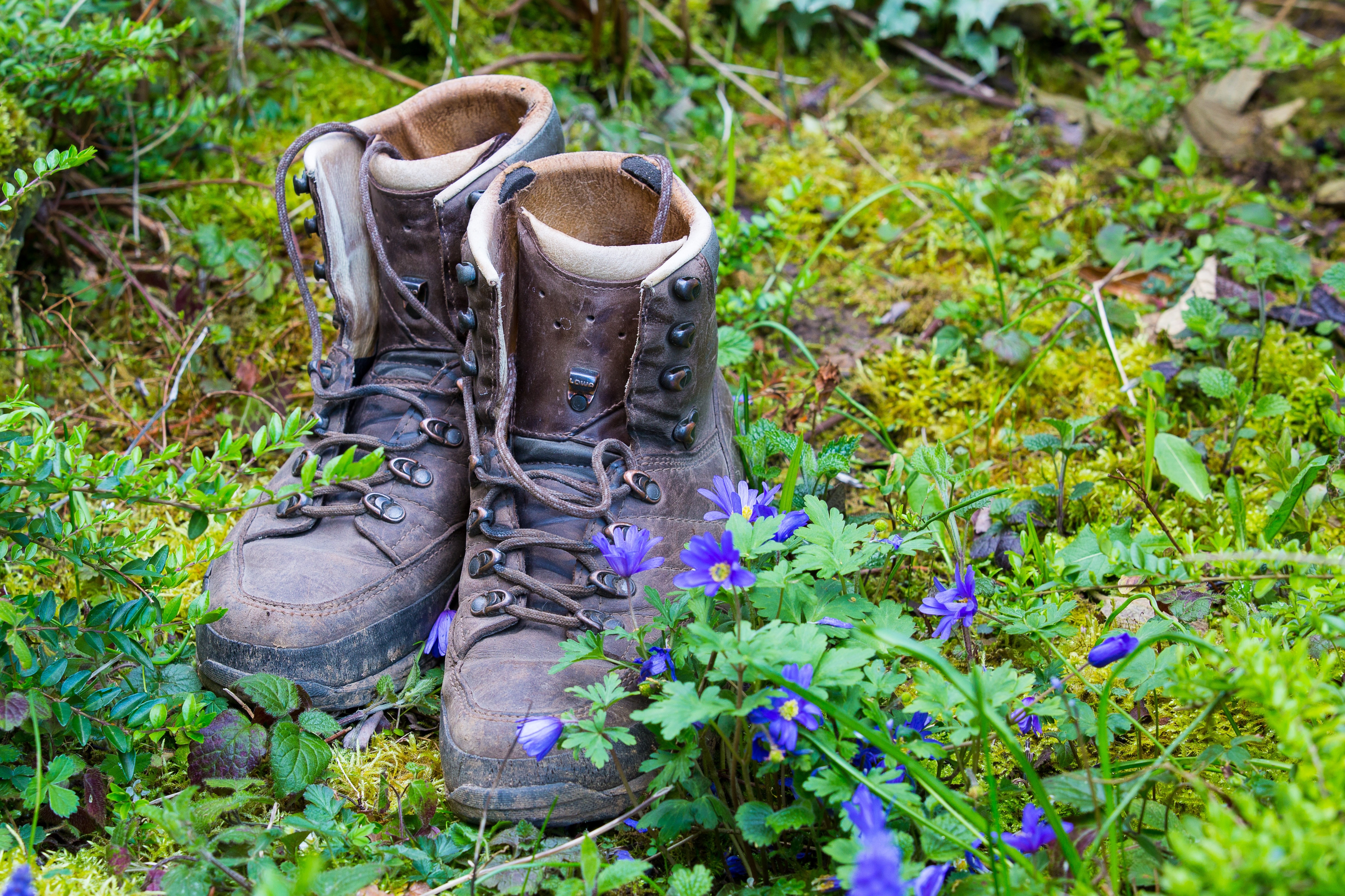 4961x3307 Nature, Shoes, Hike, Recovery, Hiking, shoe, pair free image