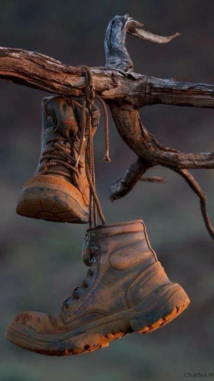 736x1308 Colorful Boots Hanging from a Tree Branch. Old boots wallpaper, Old shoes, Still life photography