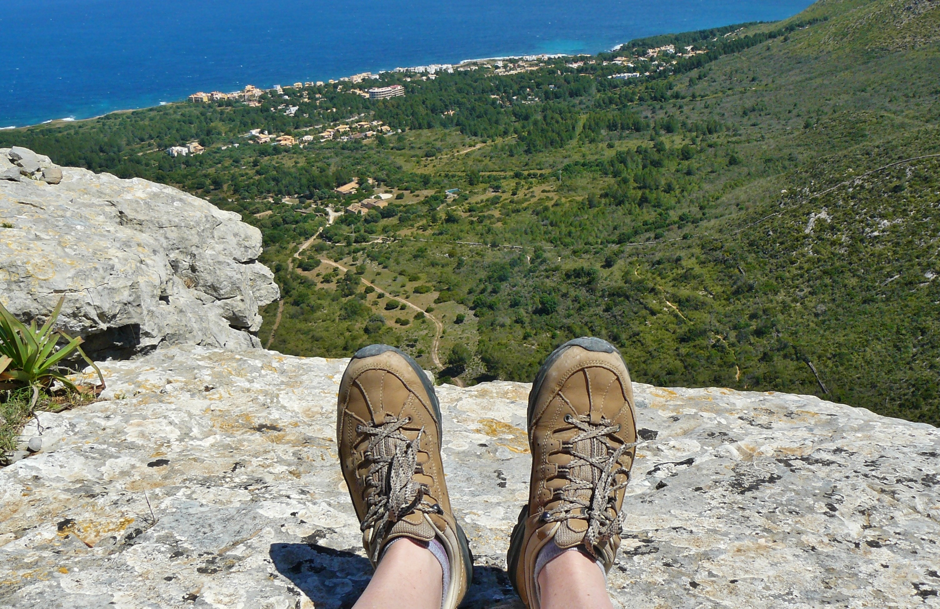 3008x1948 brown and black tecnica hiking shoes free image