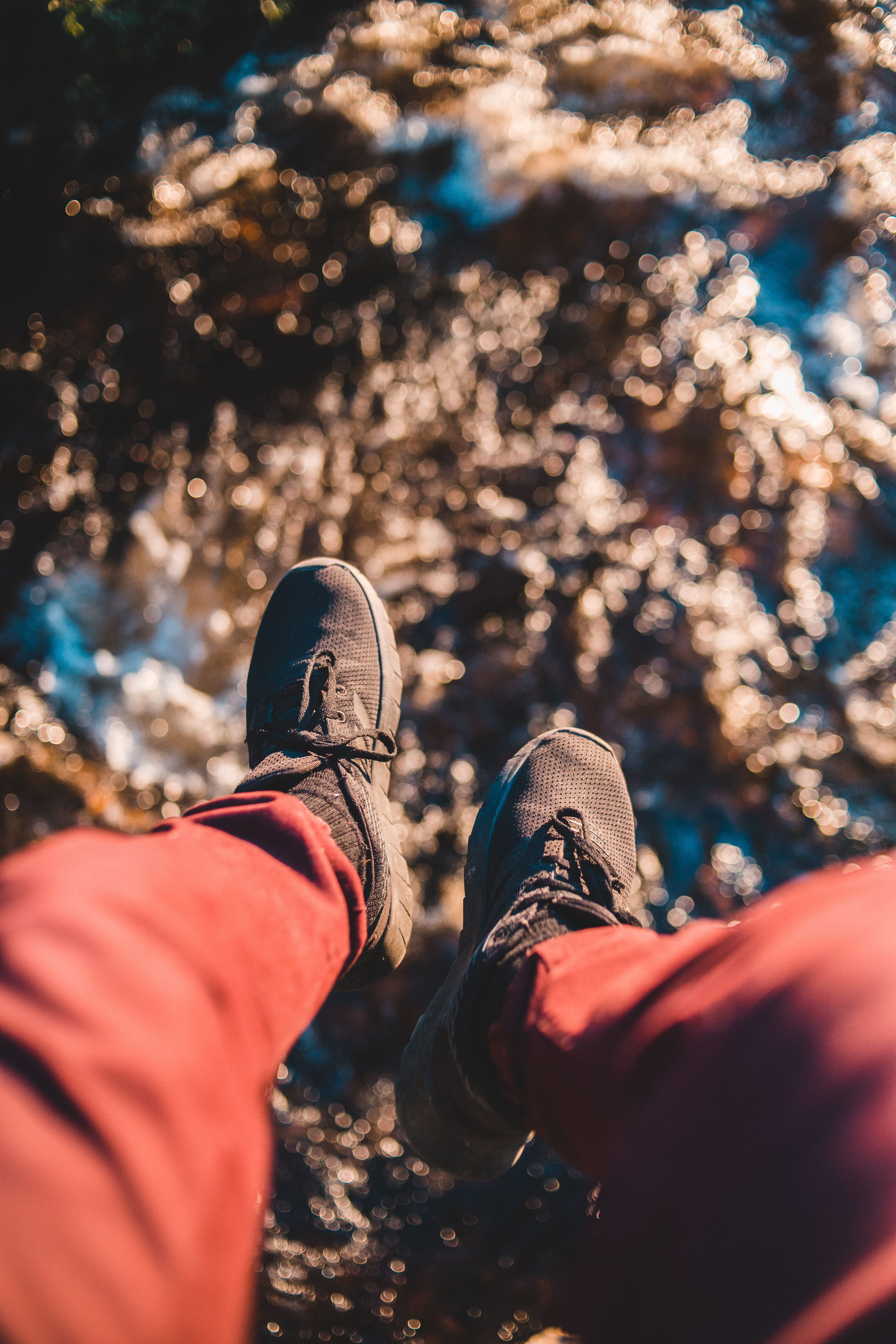 3648x5472 Photo of Person Wearing Hiking Shoes · Free