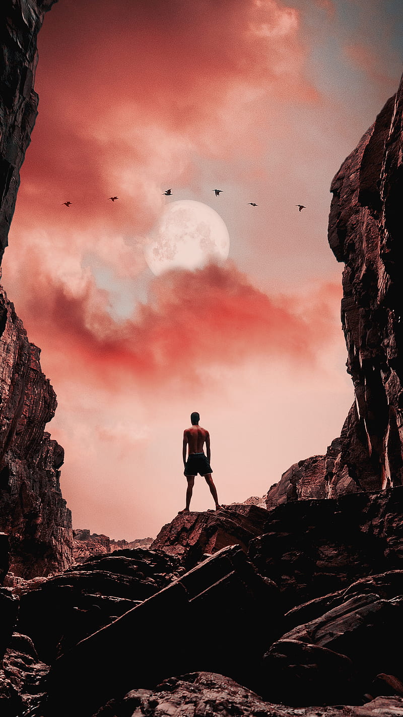 800x1422 Red Evening Sky, Taudalpoi, animals, beach, birds, clouds, collage, cool, cosmic, HD phone wallpaper