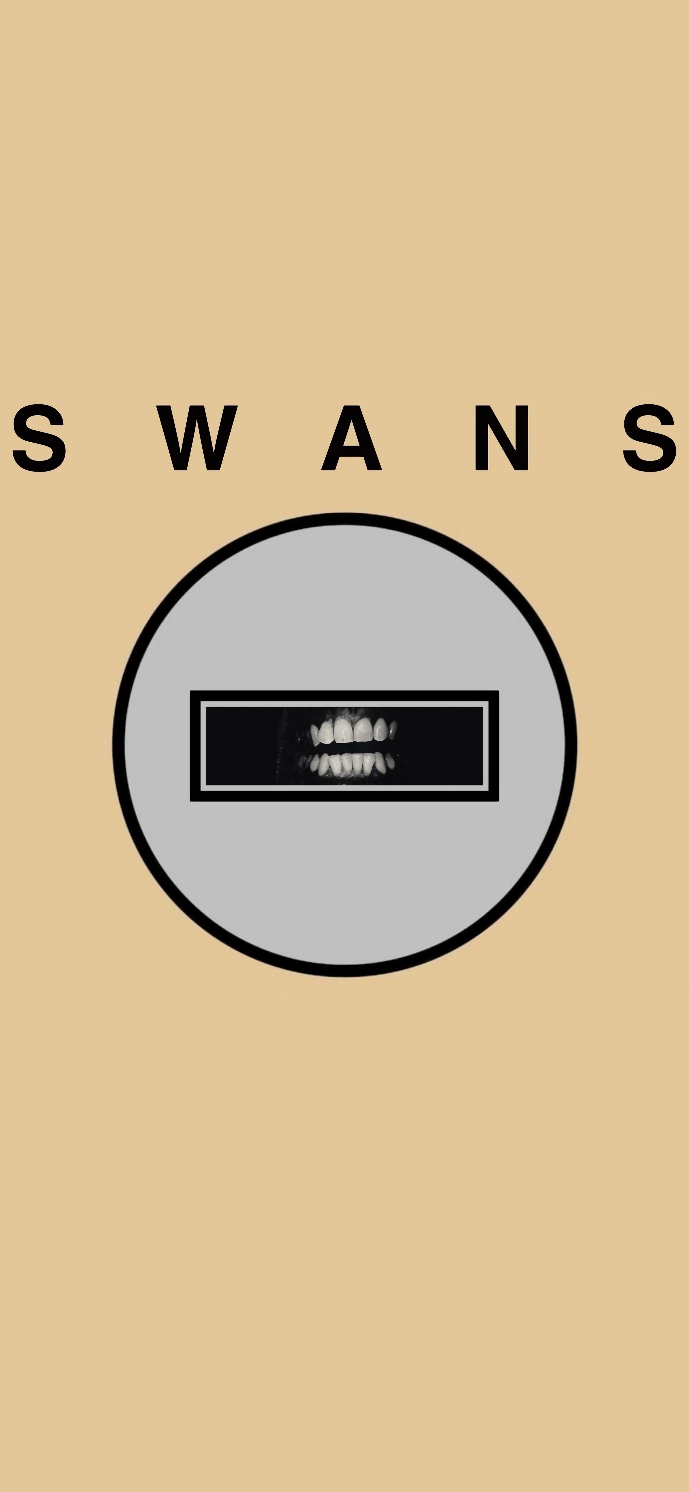 2880x6240 Swans Band Wallpaper