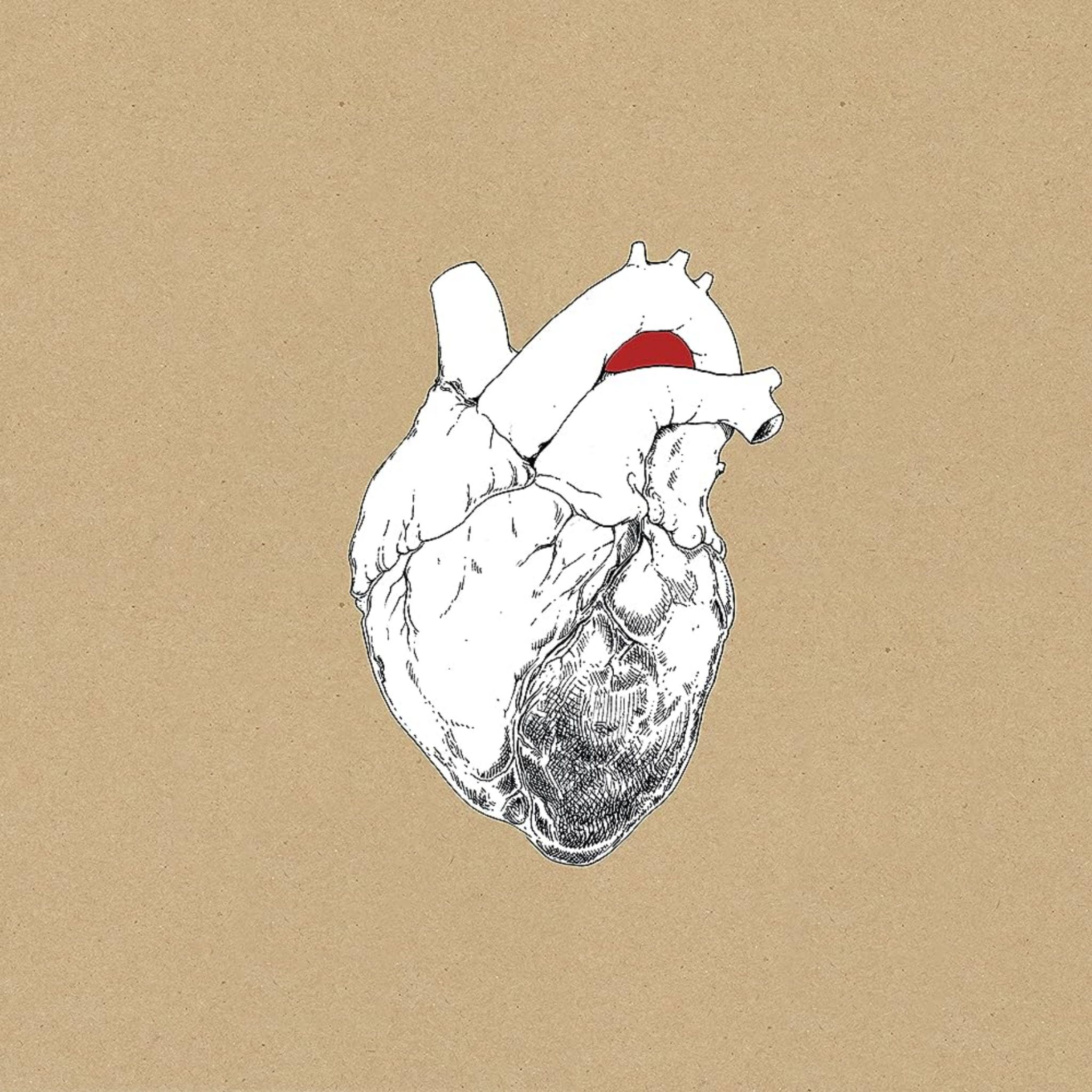 2048x2048 Swans: Just Keep Swimming and Roll Globe