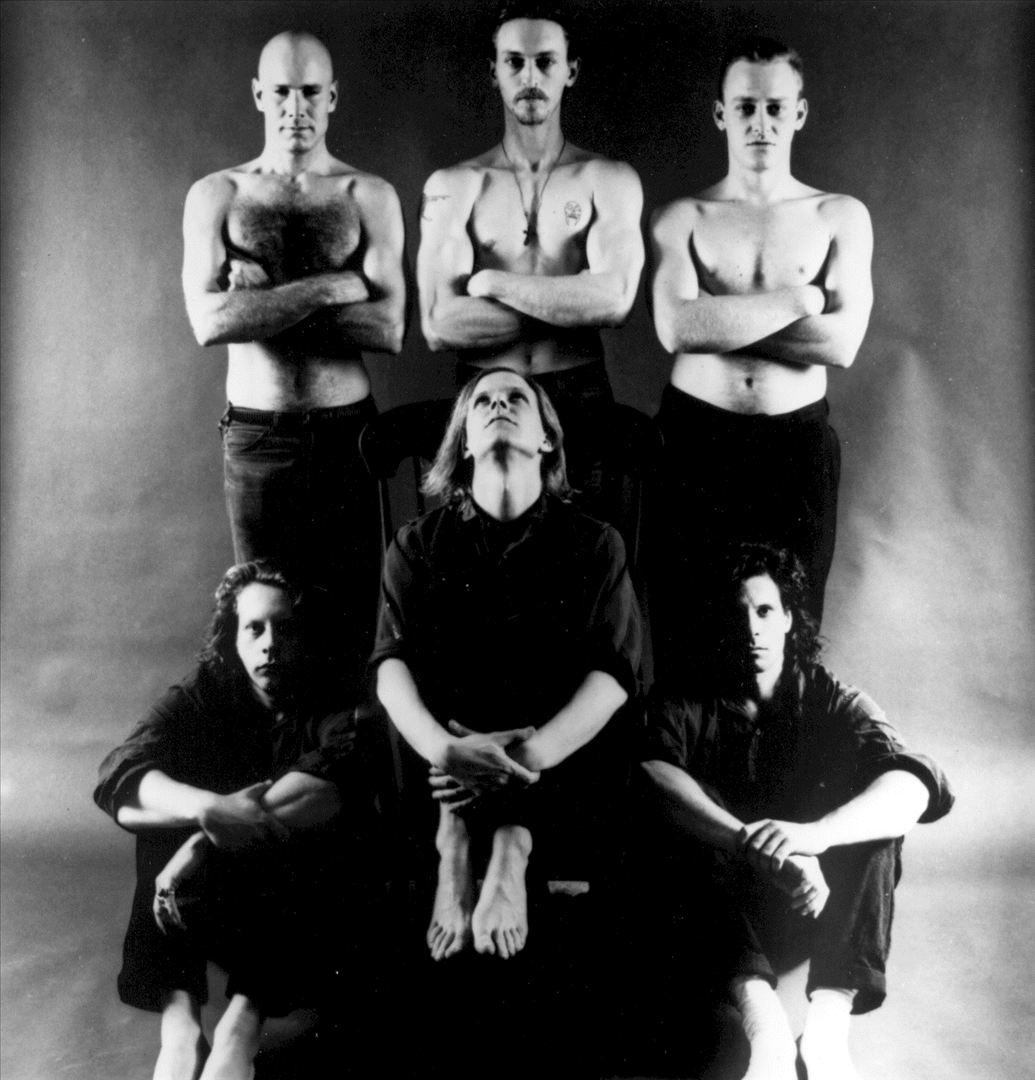 1035x1080 Swans