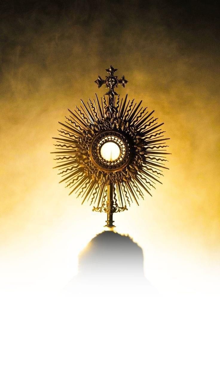 736x1308 Corpus christi adoration. Holy eucharist picture, The holy eucharist, Eucharystia