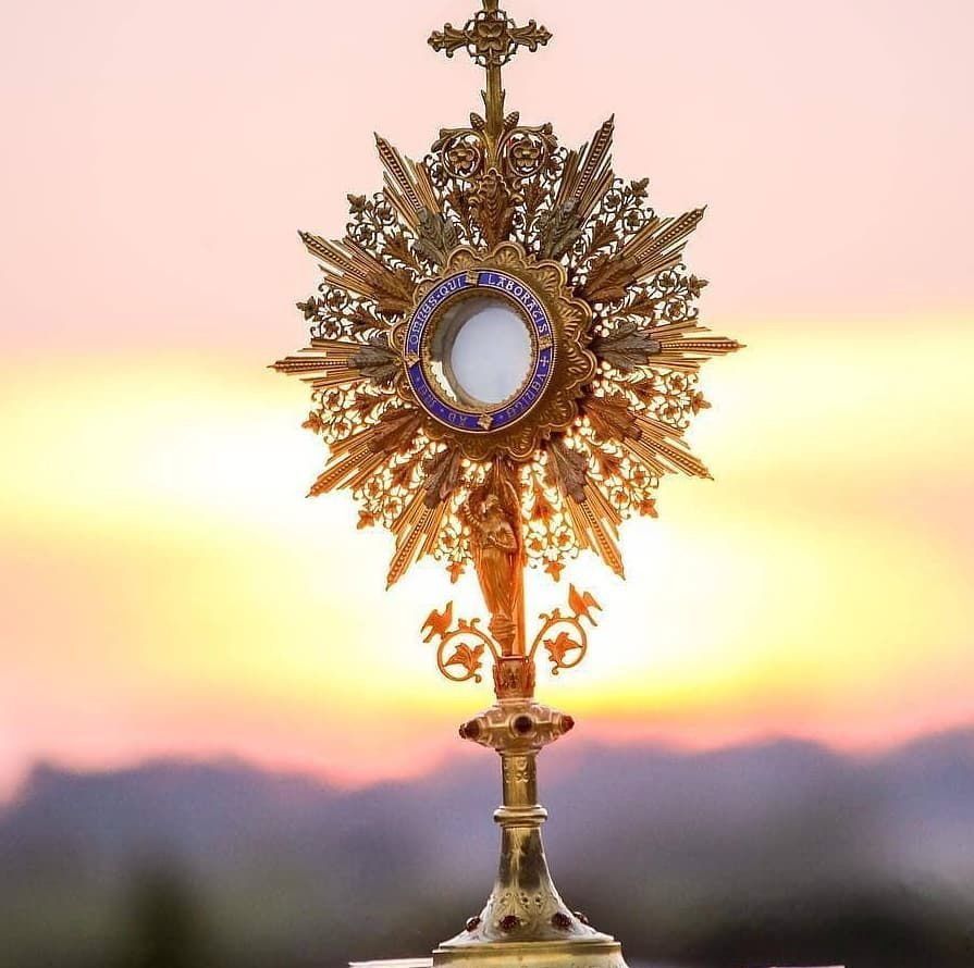 895x890 Blessed Sacrament Image ideas. eucharistic adoration picture, catholic monstrance image, eucharist