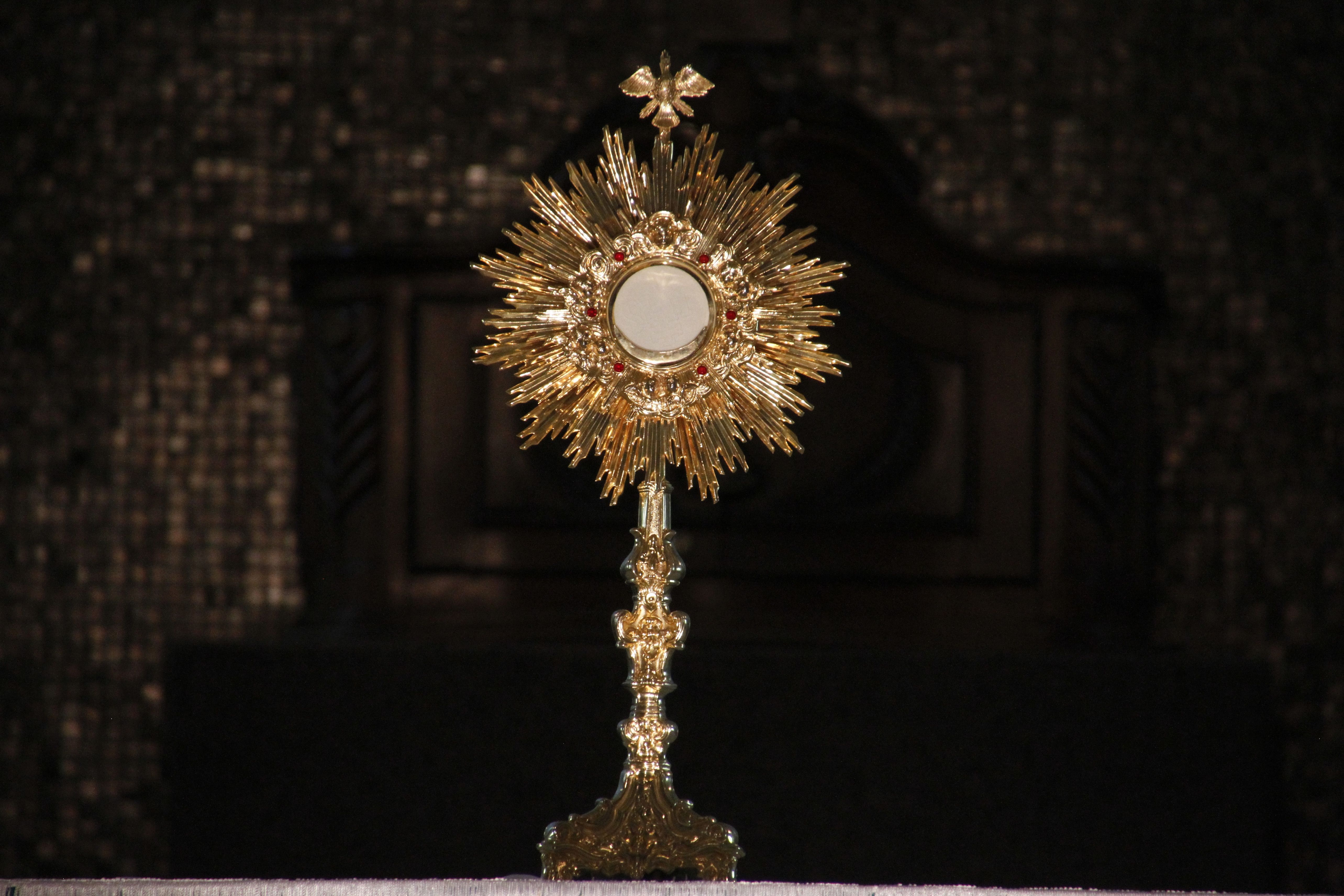 5134x3423 Pope Francis Reflects with Wonder on 'The Miracle of the Eucharist'. Gulf Coast Catholic