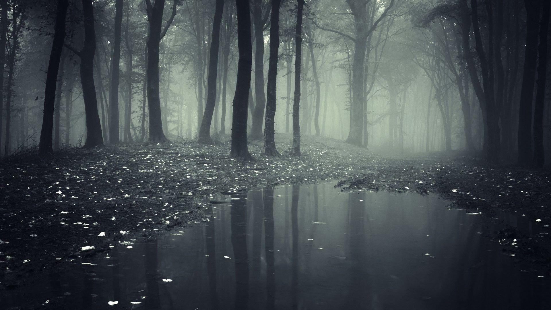 1920x1080 Rainy wallpaper wallpaper Collections