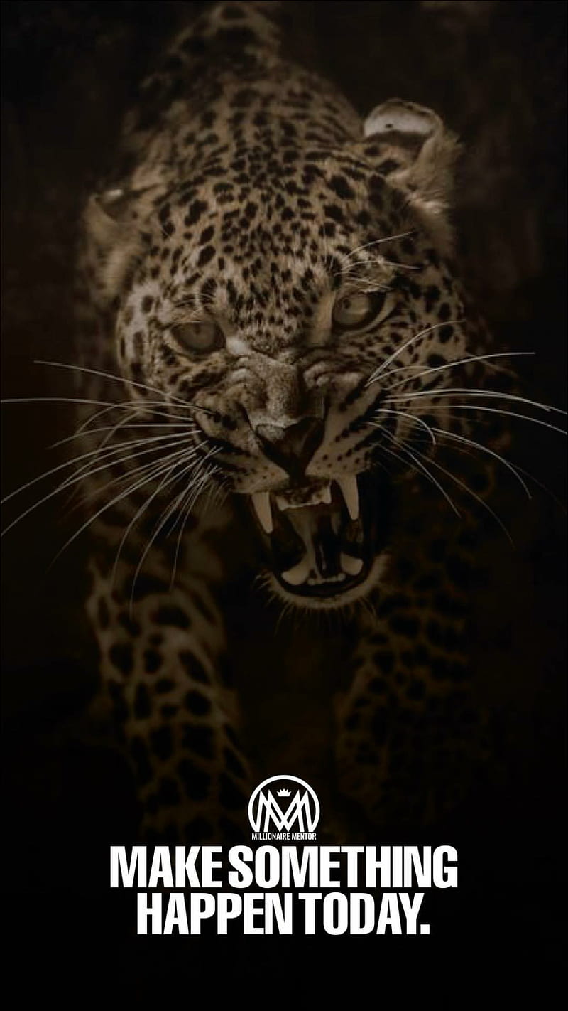 800x1422 Millionaires sayings, leopard, pets, HD phone wallpaper
