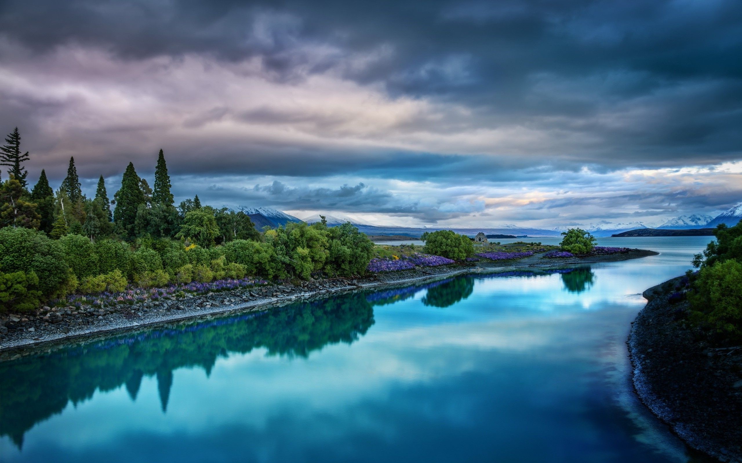 2560x1600 nature, Landscape, Wildflowers, Trees, Calm, River, Water, Overcast, Clouds Wallpaper HD / Desktop and Mobile Background
