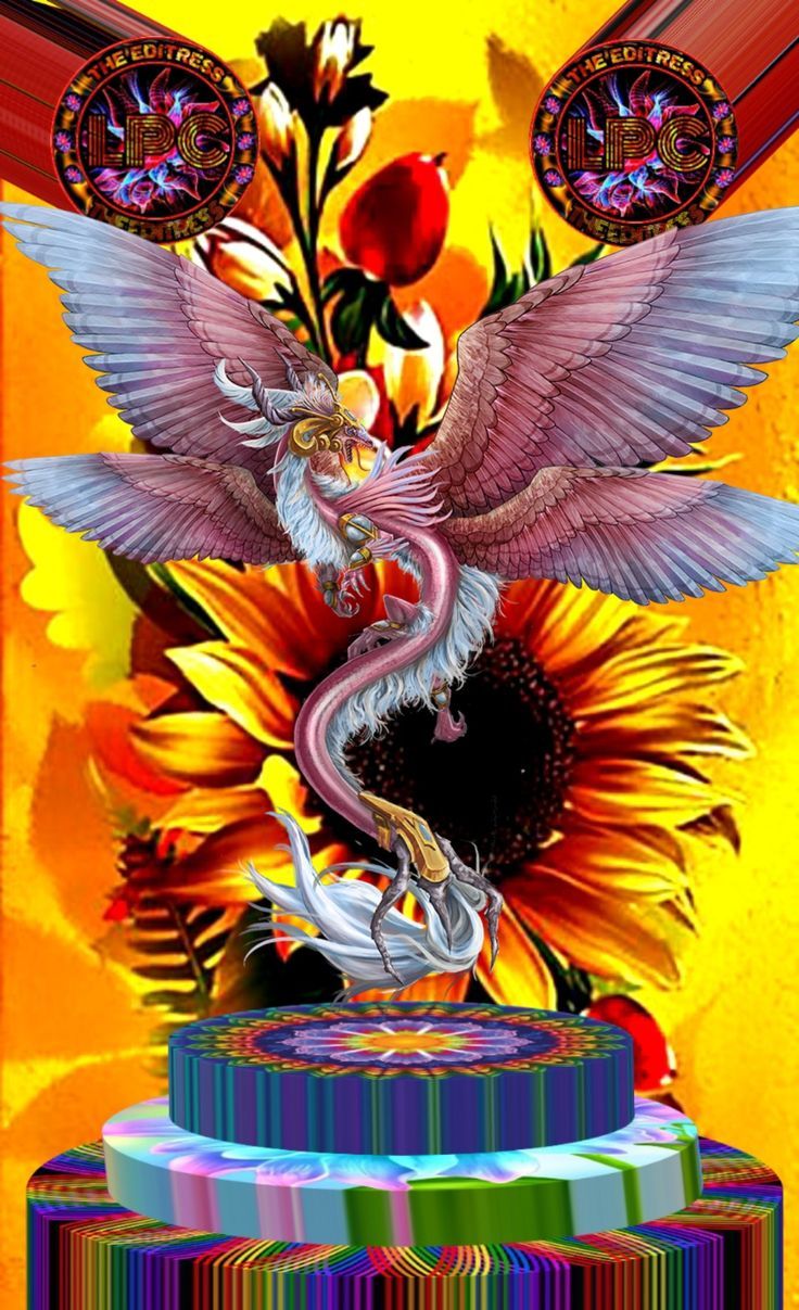 736x1207 Phoenix background wallpaper. Ibong adarna background, Dragon and phoenix wallpaper, Wings wallpaper