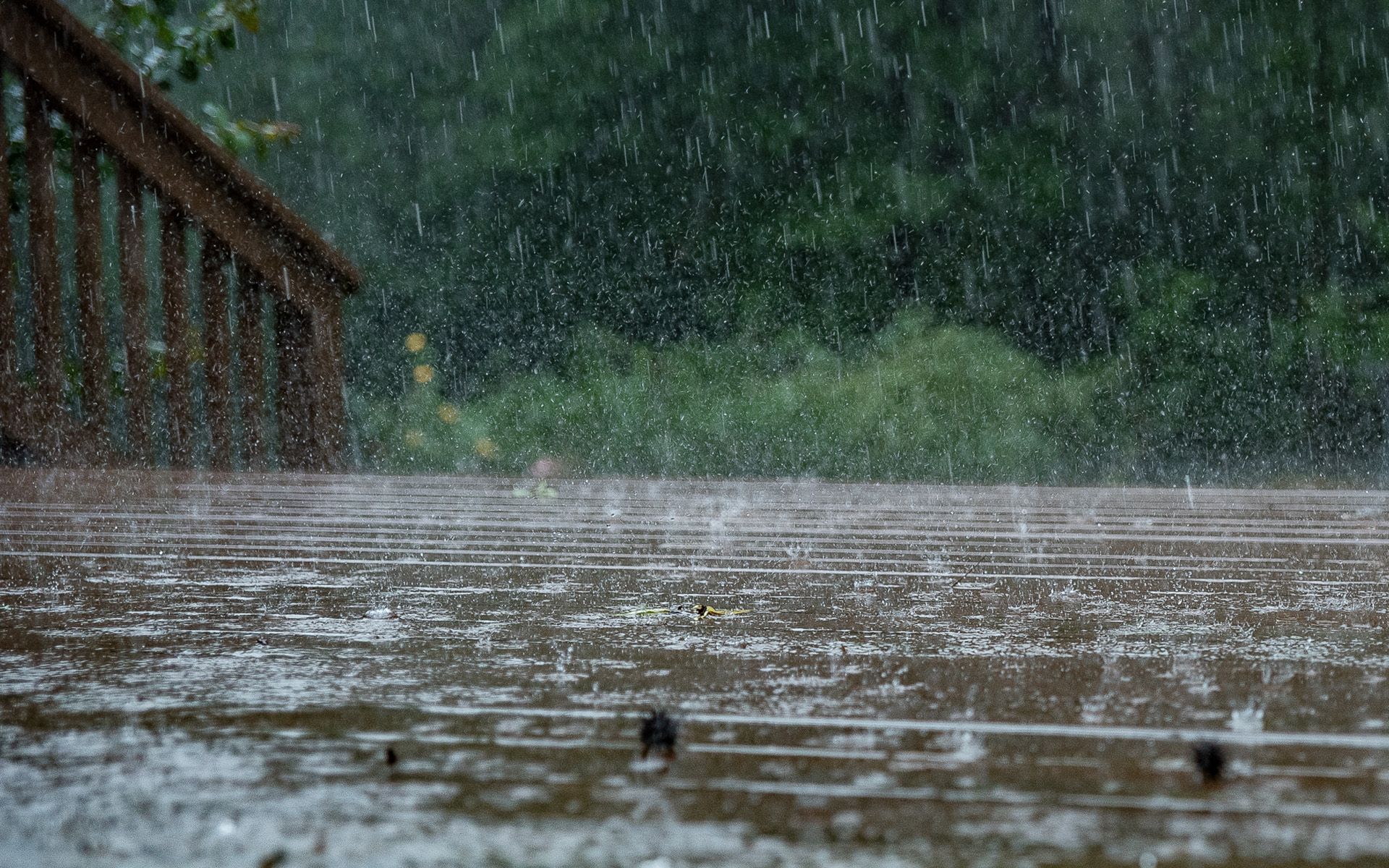 1920x1200 Serenity in Rain: HD Wallpaper of a Bridge and Water Dropsx1200