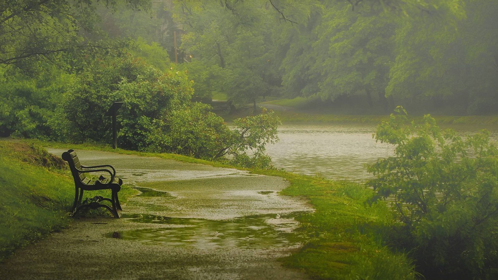 1600x900 Rain Wallpaper 1920x1200 67671