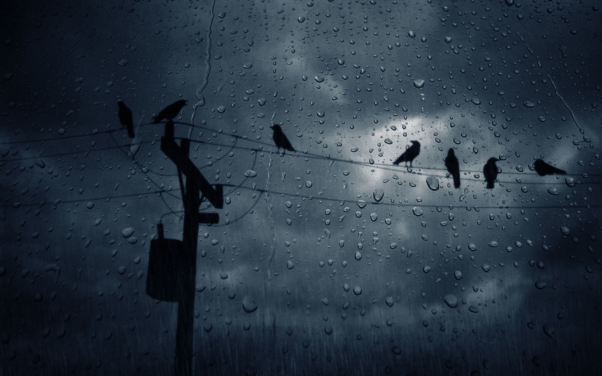 1920x1200 Rain Wallpaperx1200
