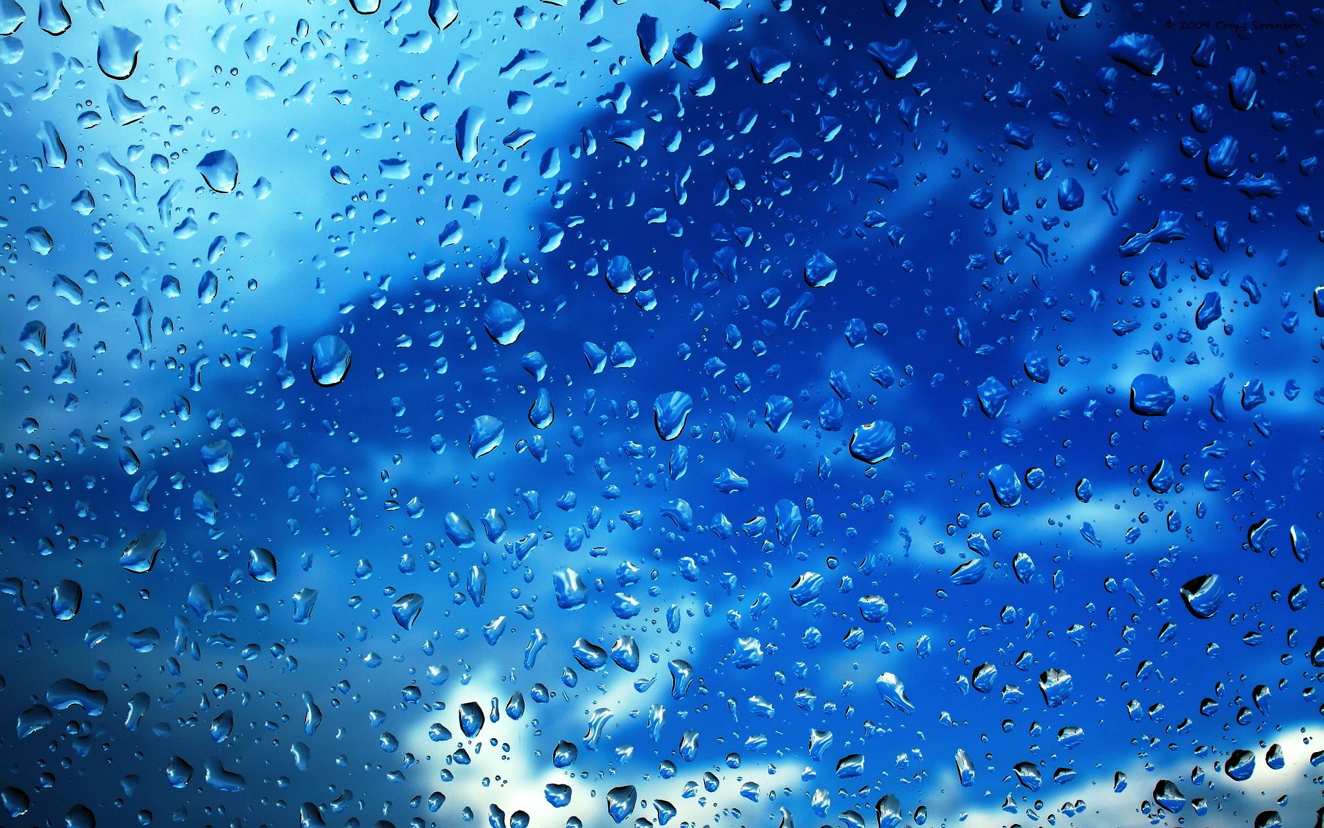 1920x1200 HD Raindrop Magic: Clear Photography of Nature's Dropsx1200