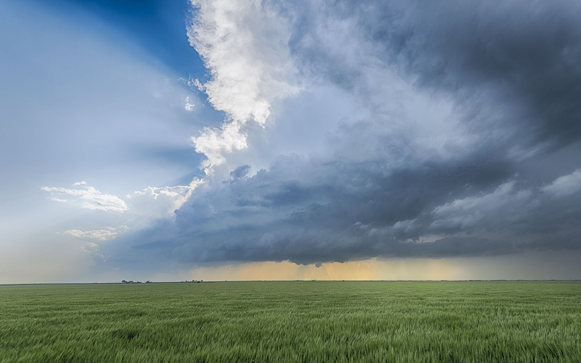 1920x1200 clouds, Storm, Field, Rain Wallpaper HD / Desktop and Mobile Background