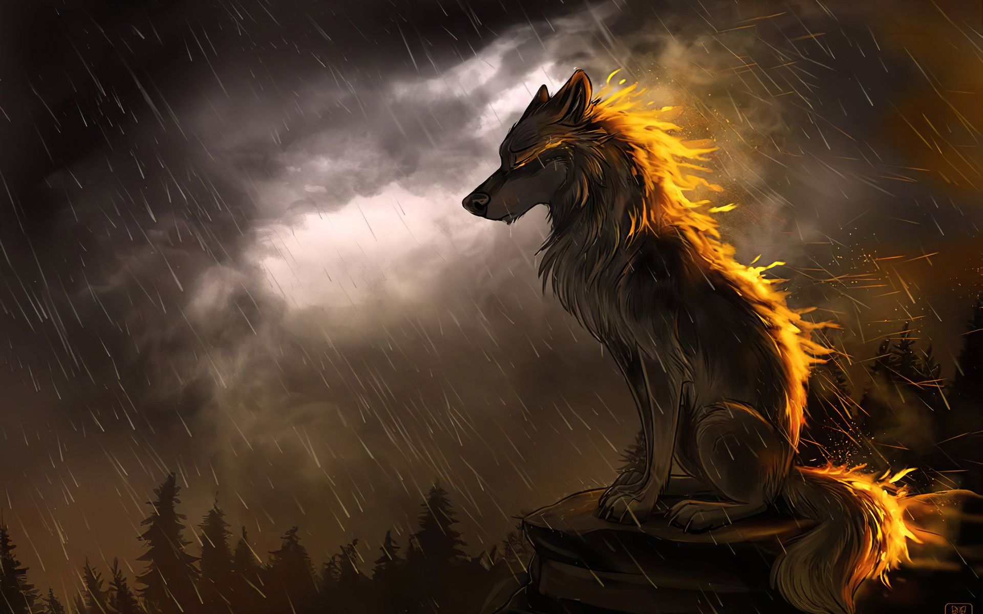 1920x1200 Wolf In Soothing Rain 4k 1080P Resolution , HD 4k Wallpaper, Image , Background, Photos and Picture