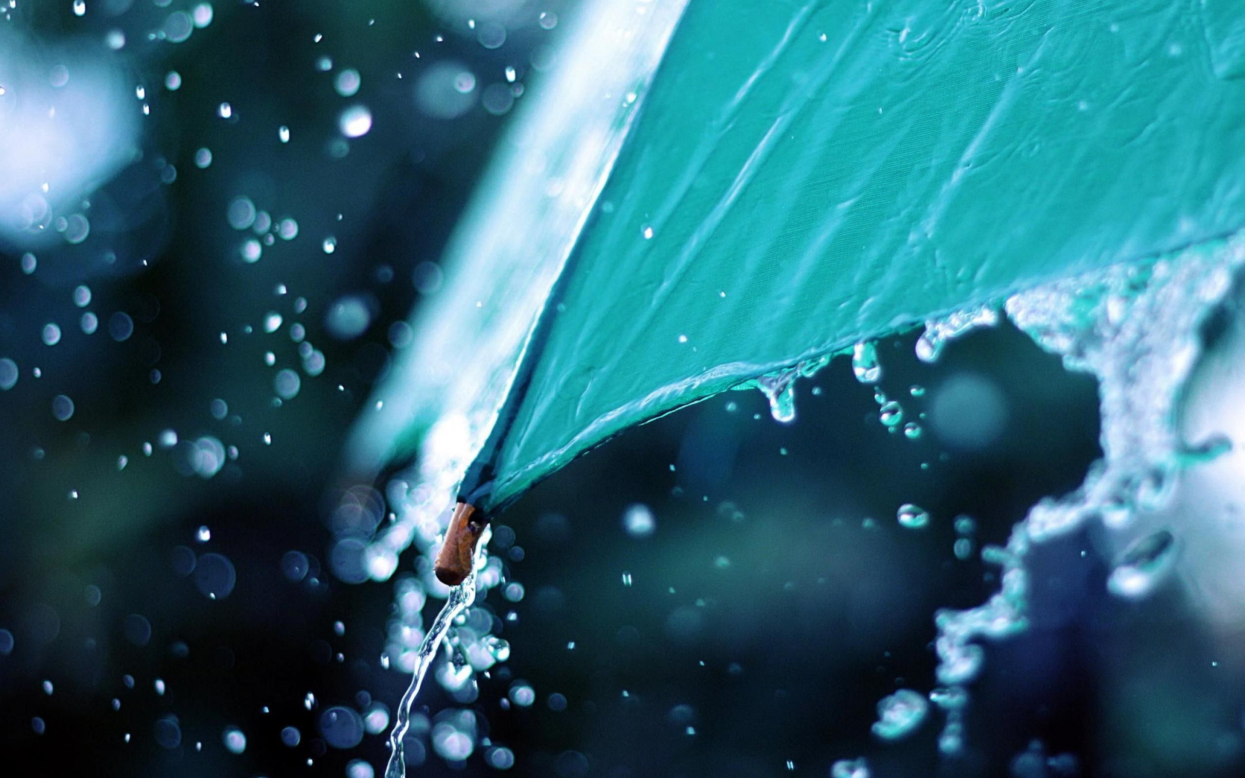 2560x1600 Heavy Rain High Quality Wallpaper