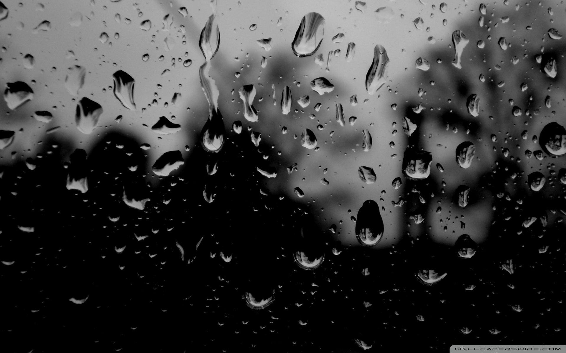 1920x1200 Dark Rainy Day 4K UHD Wallpaper for UltraHD Desktop and TV : Dual Monitor : Smartphone and Tablet Devices
