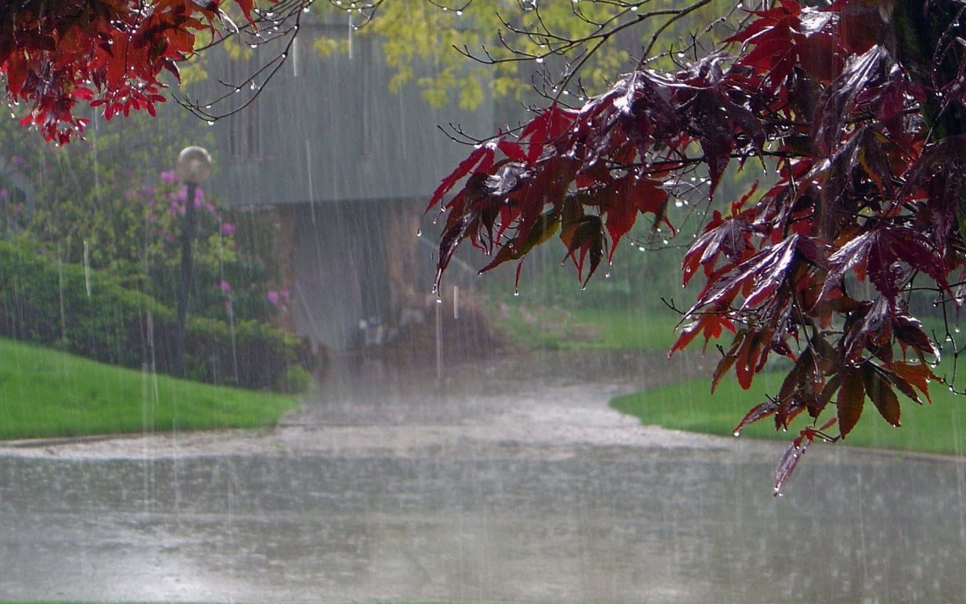 1920x1200 Download Stay productive indoors with a view of rain outside Wallpaper