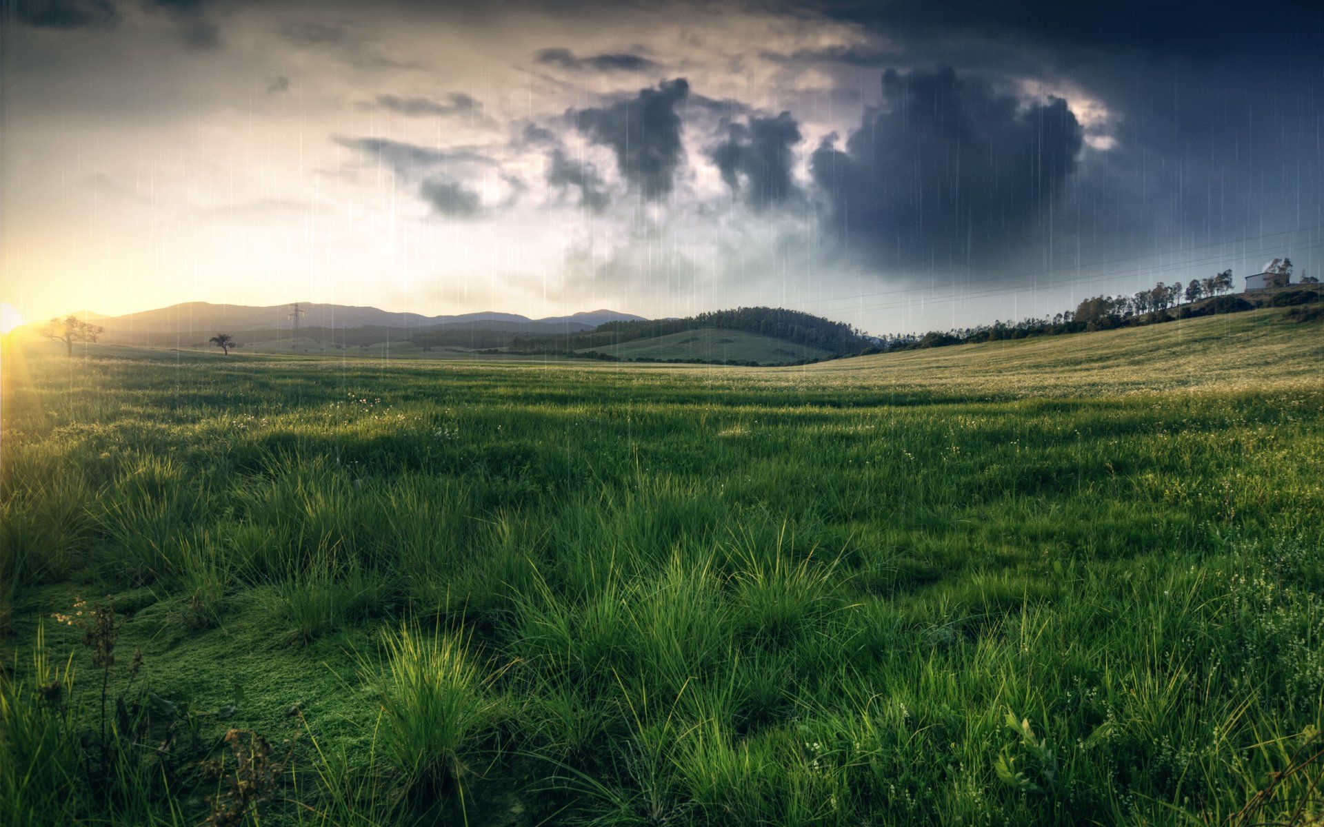 1920x1200 Serene Rainy Landscape: HD Wallpaper for Nature Loversx1200