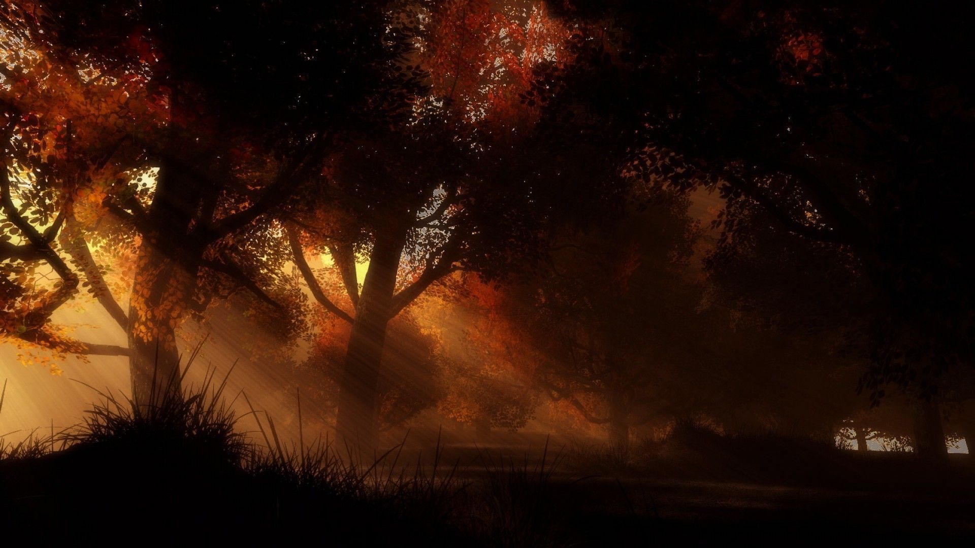 1920x1080 Dark Autumn Forest Wallpaper