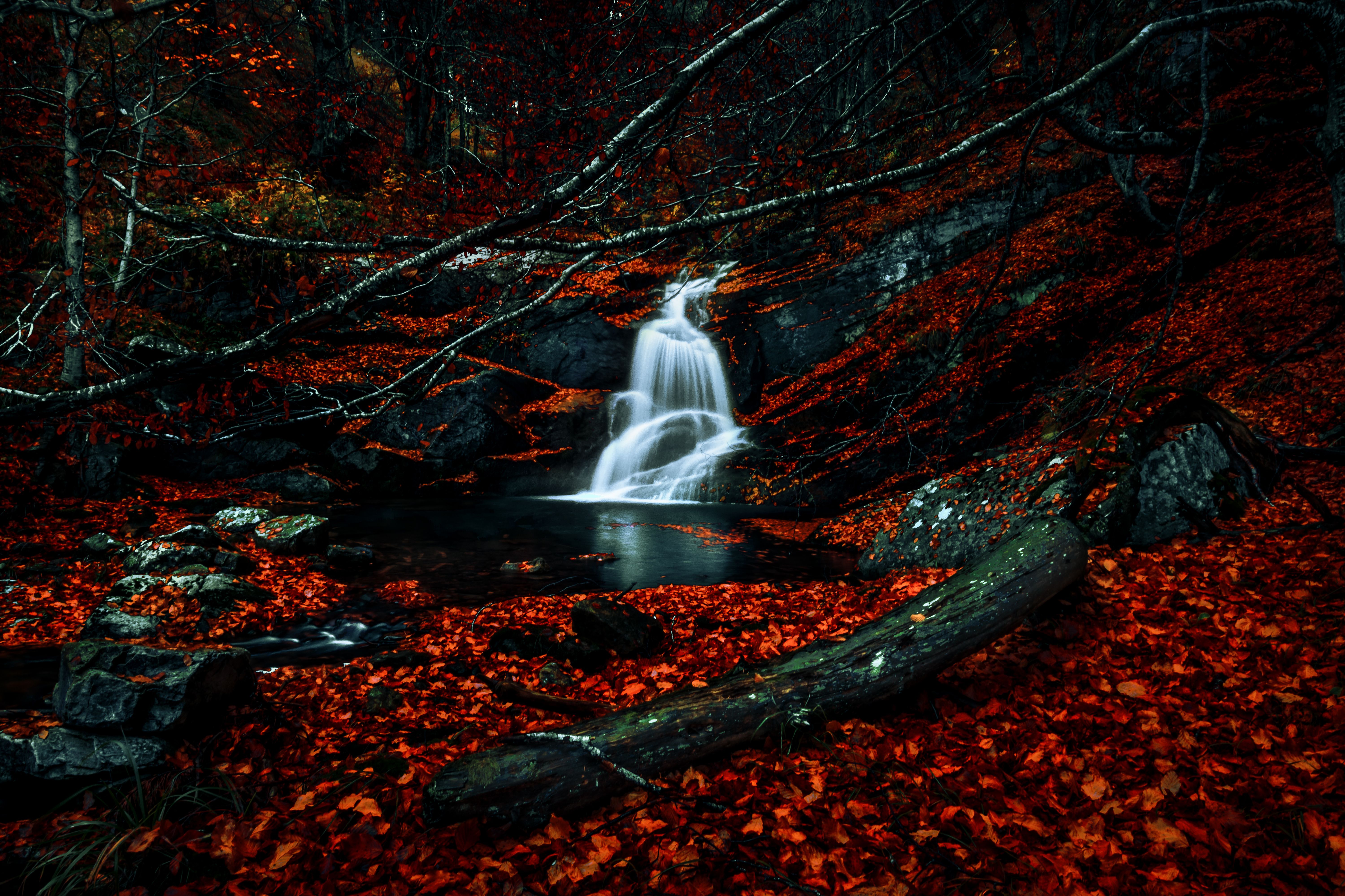 6000x4000 Waterfalls Wallpaper 4K, Autumn, Dark Forest, Foliage