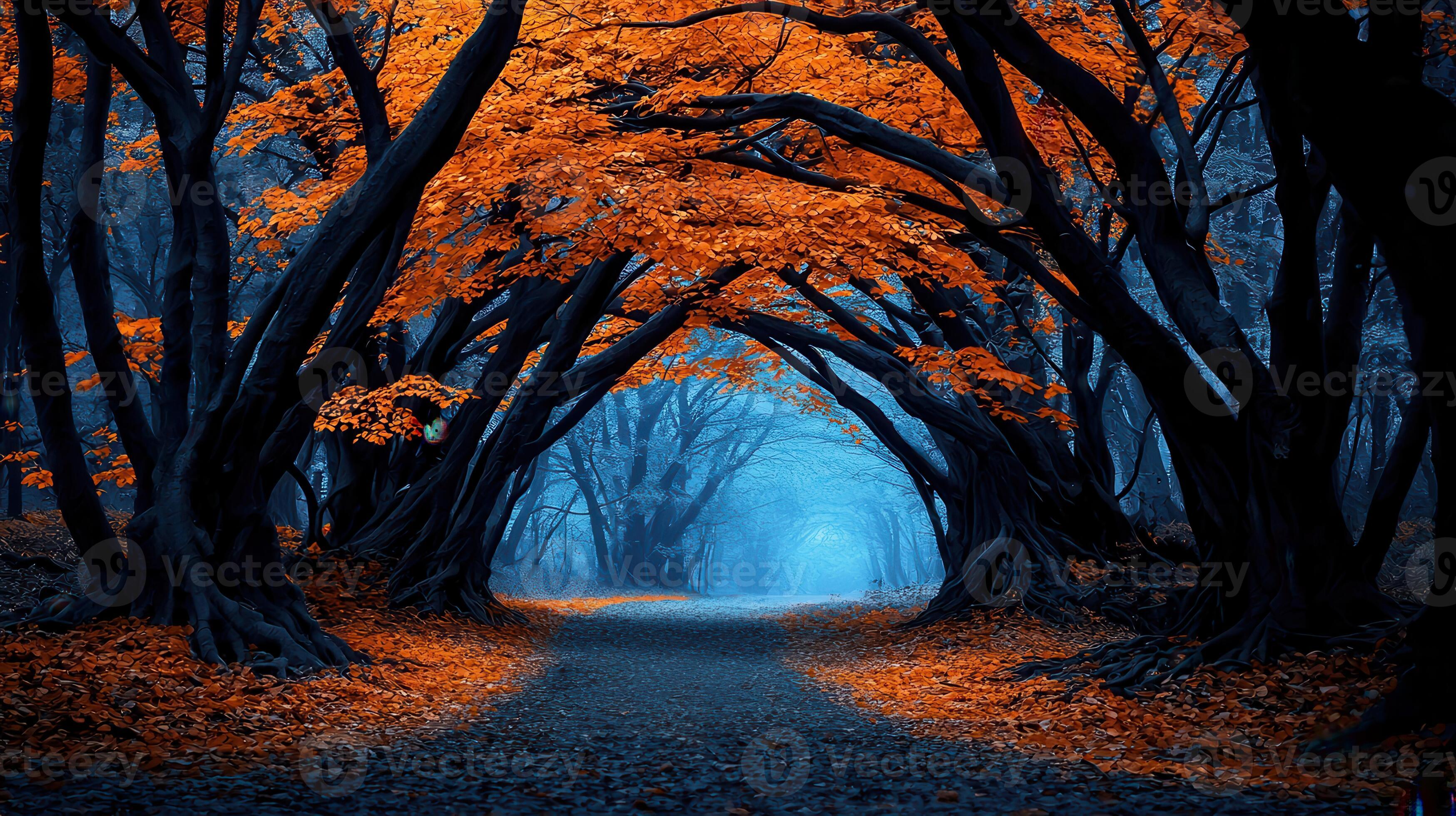 3497x1960 Mystical Autumn Forest Path Dark Trees Orange Leaves Foggy Lane