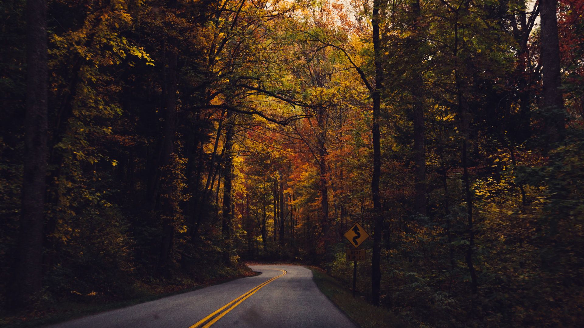 1920x1080 Road Turn Between Yellow Green Autumn Trees Forest Dark Background HD Autumn Wallpaper