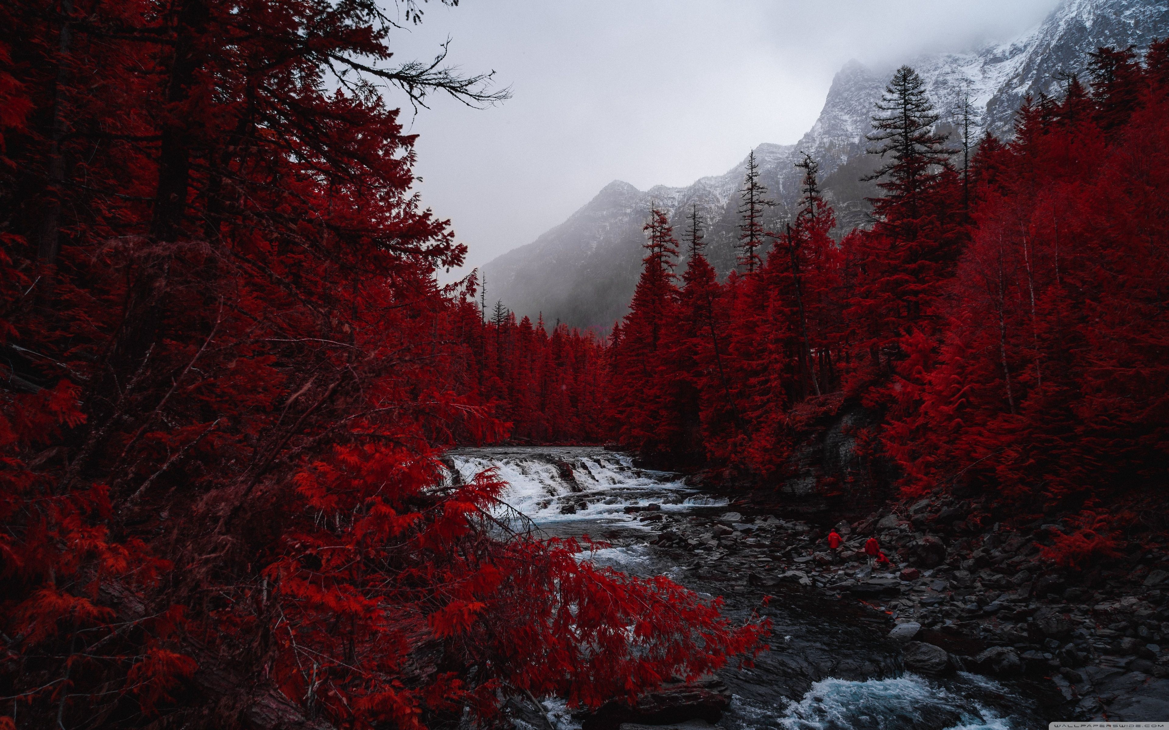 3840x2400 Beautiful Gloomy Autumn 4K UHD Wallpaper for UltraHD Desktop and TV : Dual Monitor : Smartphone and Tablet Devices