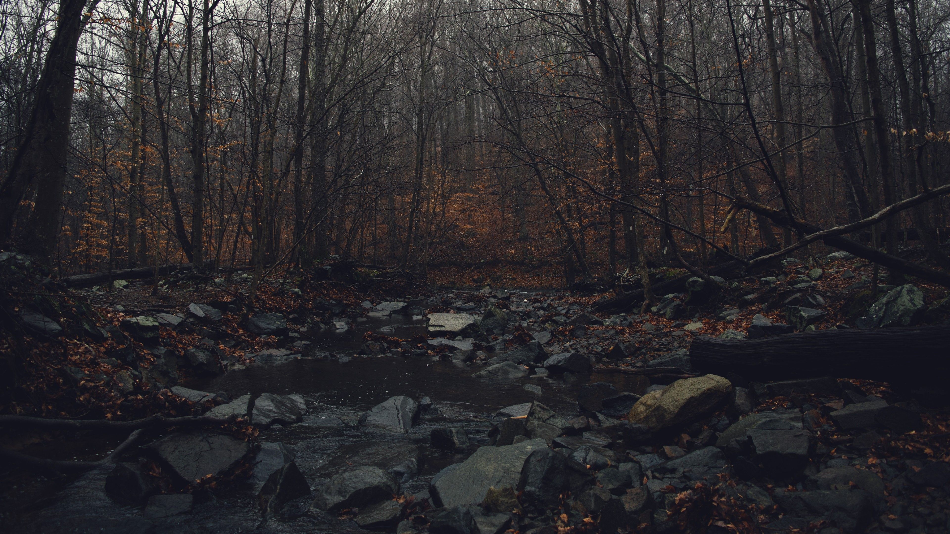 3840x2160 water, Forest, Fall Wallpaper HD / Desktop and Mobile Background