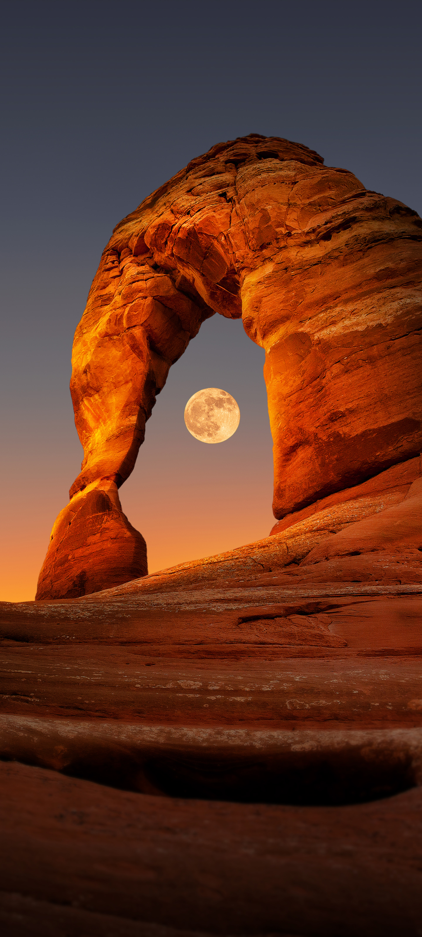 1440x3200 HyperOS 4 Stock Wallpaper