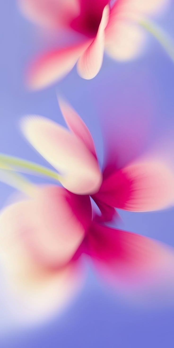 736x1471 HyperOS 4 Wallpaper