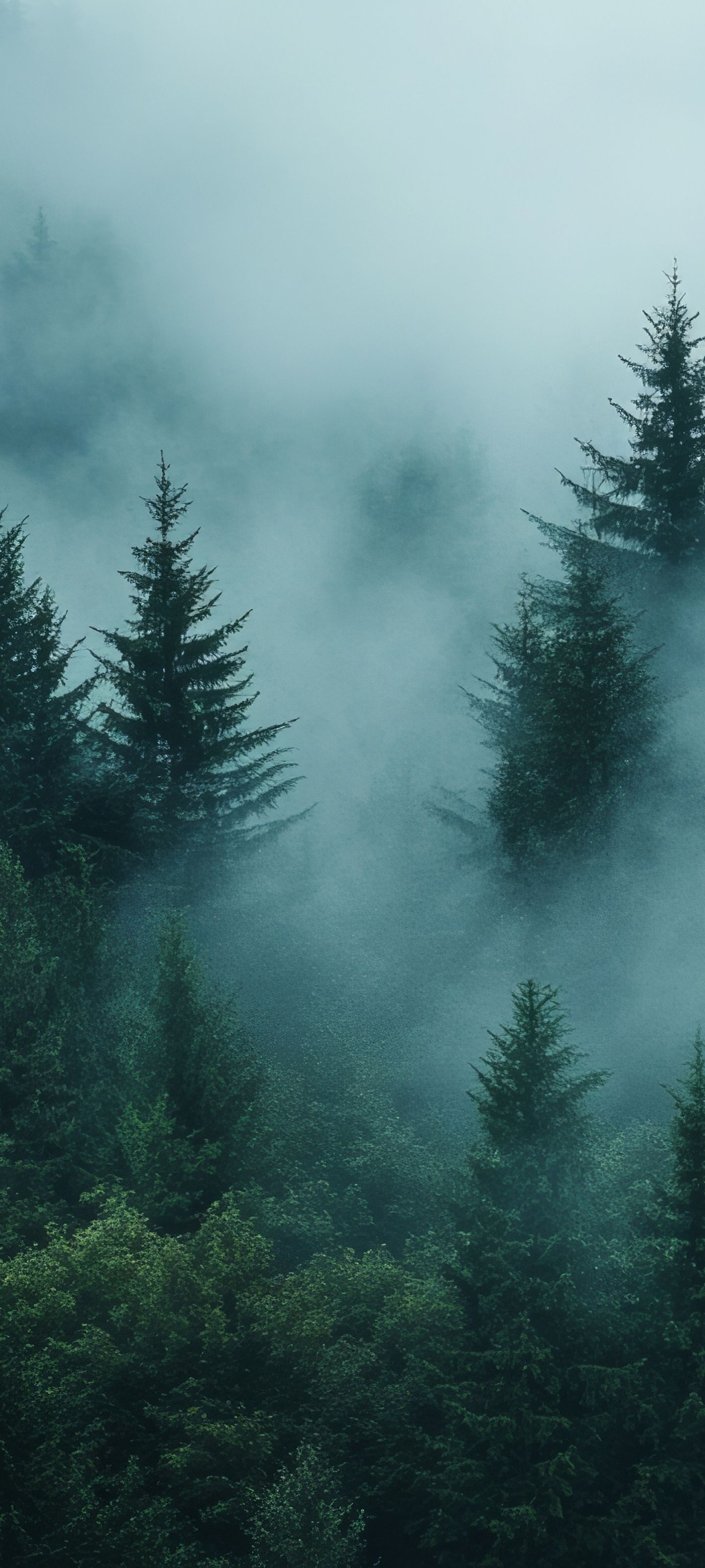 1440x3200 HyperOS 4 Stock Wallpaper