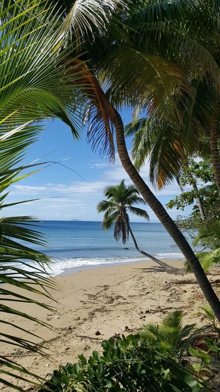736x1308 Rincón, Puerto Rico