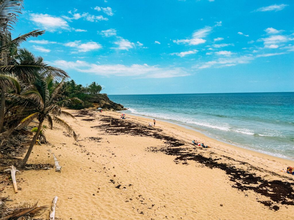 1024x768 Best Things to Do in Rincon Puerto Rico Wide Honeymoon