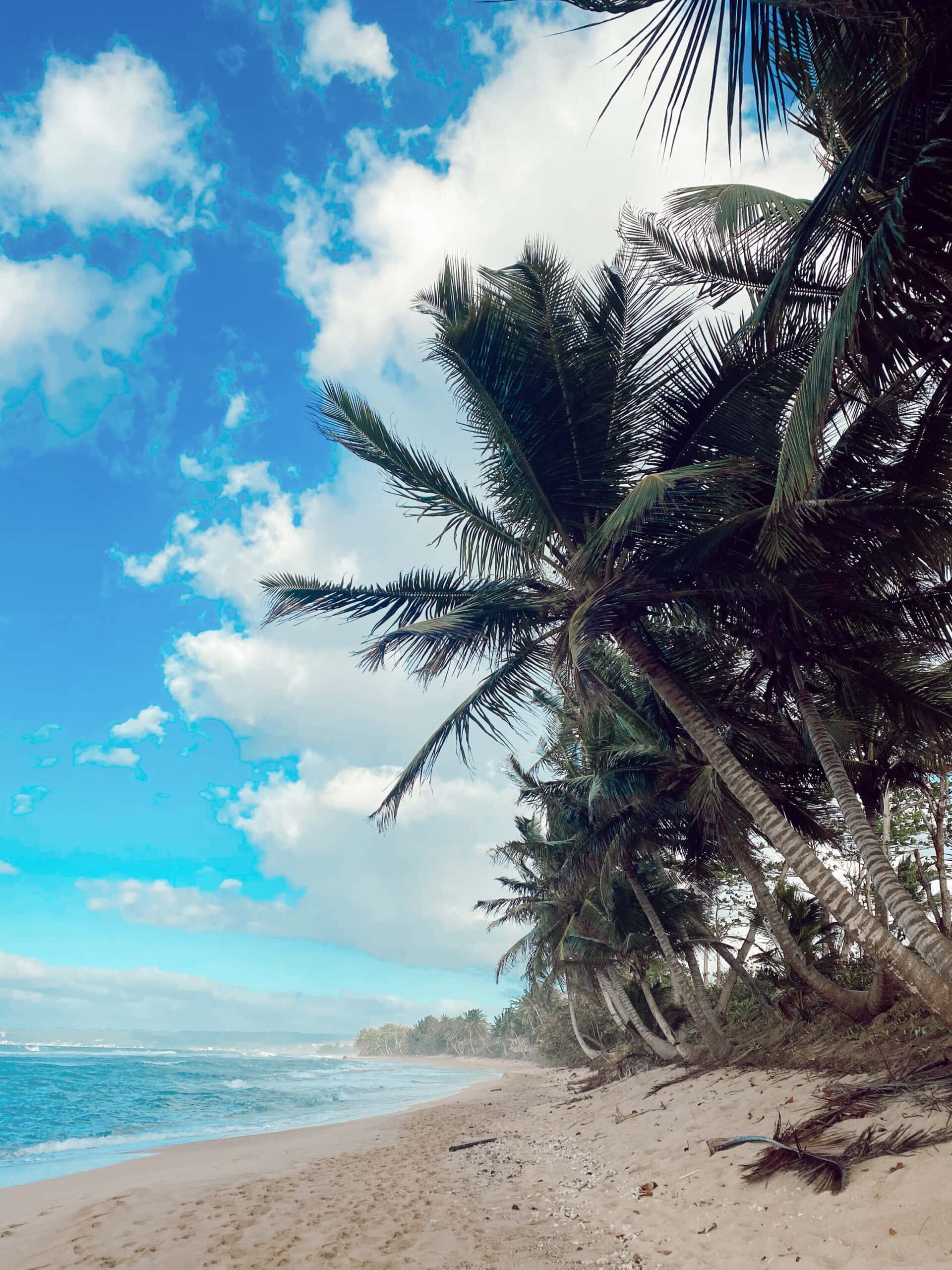 1920x2560 Guide to Rincón, Puerto Rico: Where to Surf, Eat, Workout, and Stay in Rincón