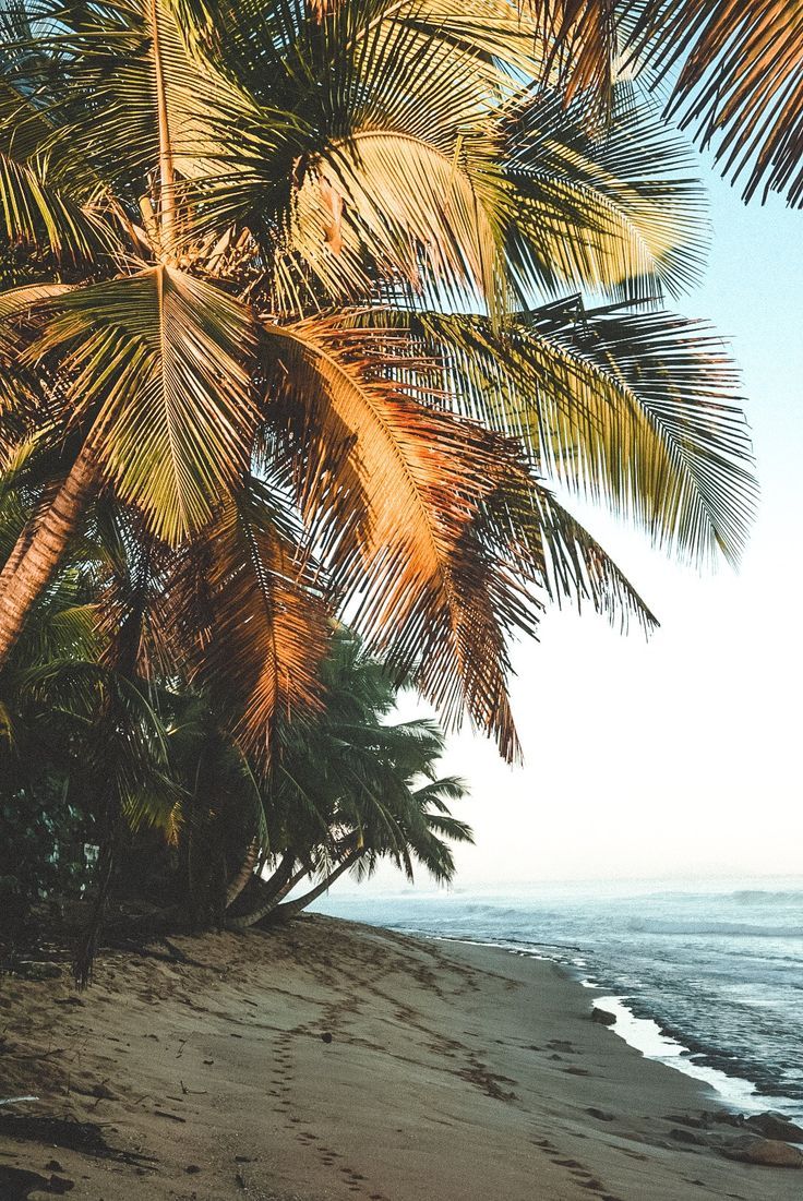 736x1101 The Best Beaches in Rincon Puerto Rico for everyone!