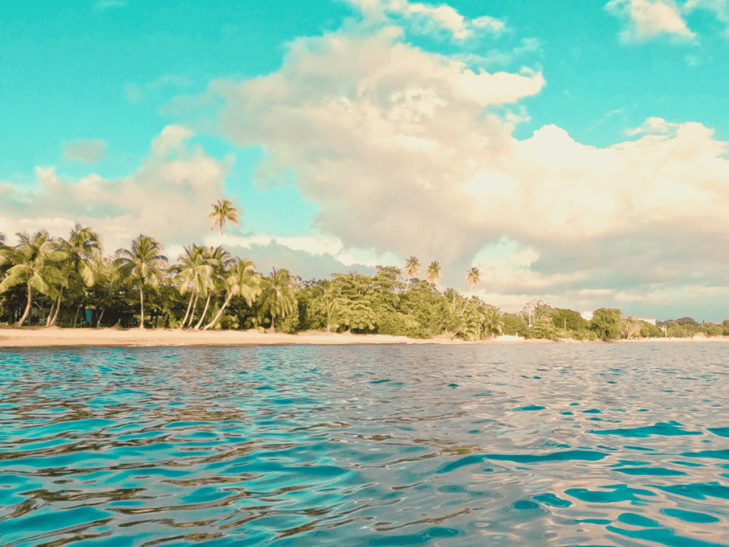 1024x768 The Best Puerto Rico Diving is in Rincon! H