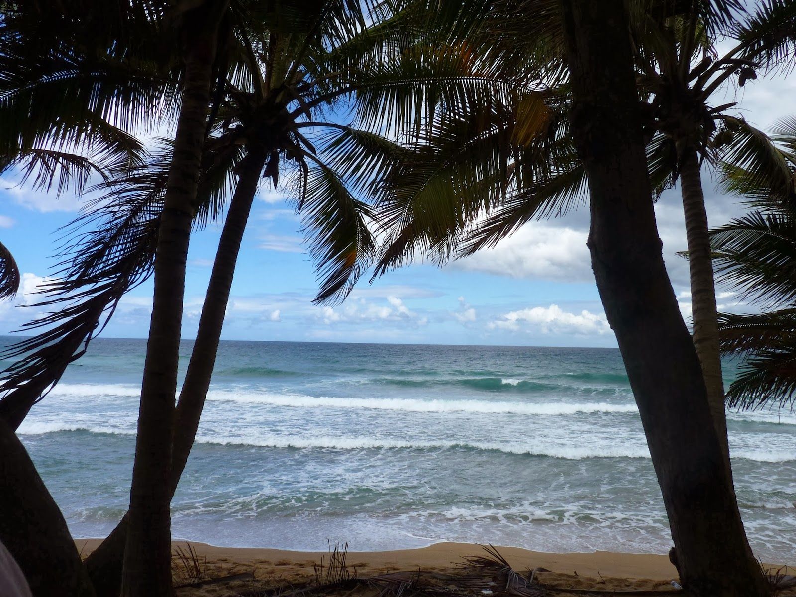 1600x1200 Rincon, Puerto Rico