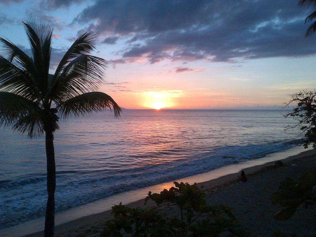 1024x768 Rincon, Puerto Rico Tourism Areas Tourism Association of Rincon, Puerto Rico visitors guide to hotels, vacation rentals and activities