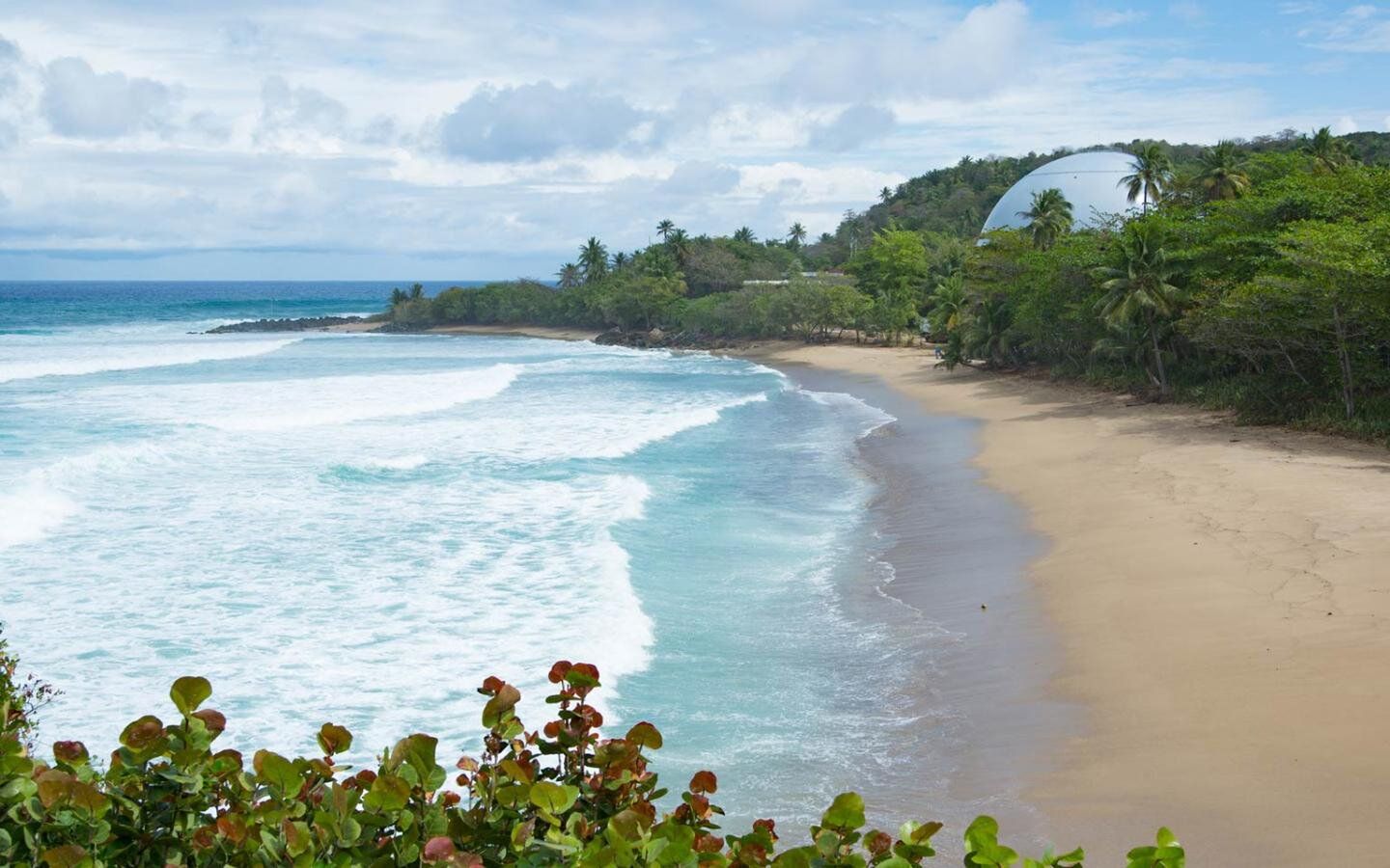 1440x900 The 10 BEST Fishing Charters in Rincon, Puerto Rico from US $60 (Fall 2026)