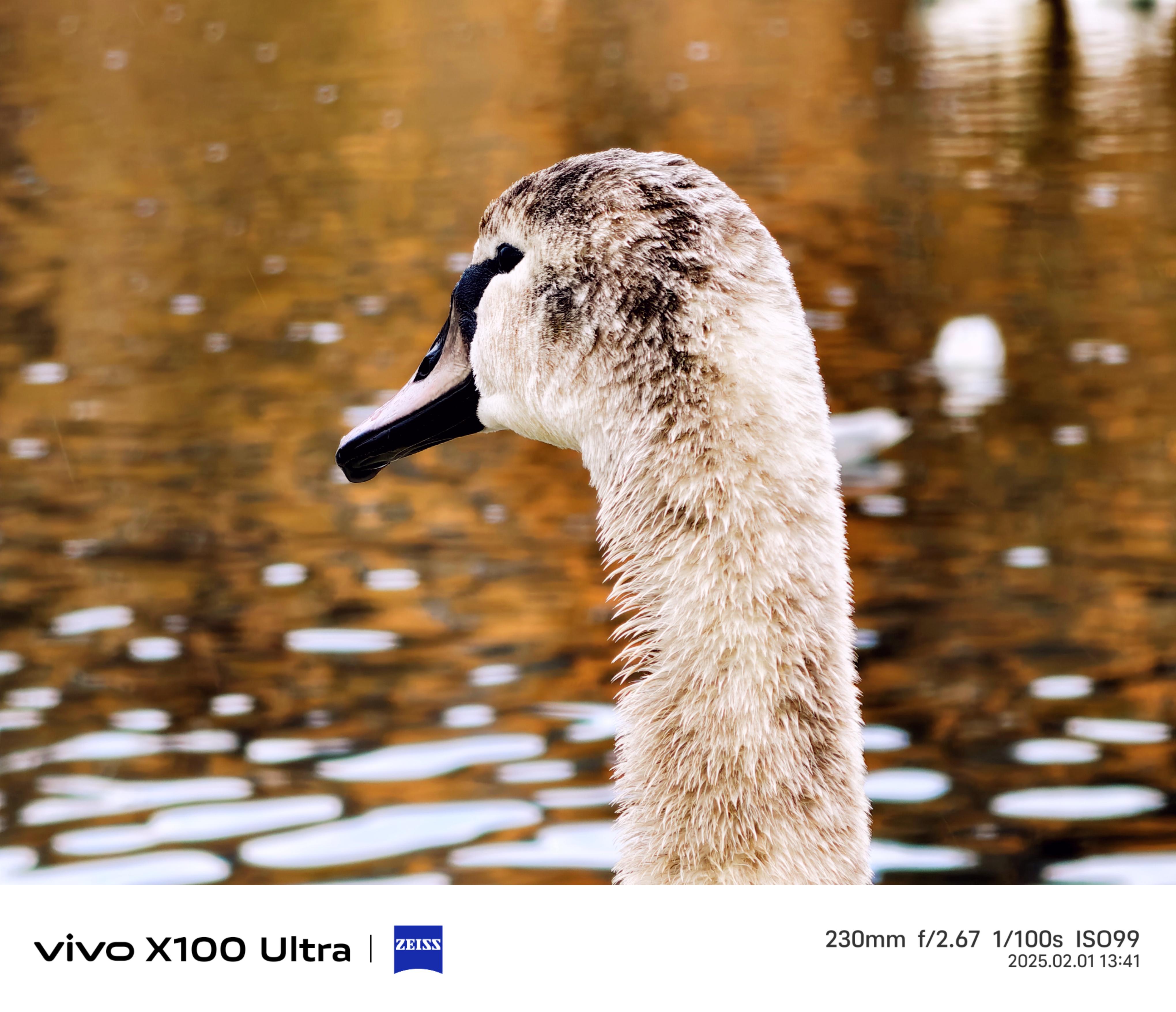 4080x3512 Vivo X100 Ultra