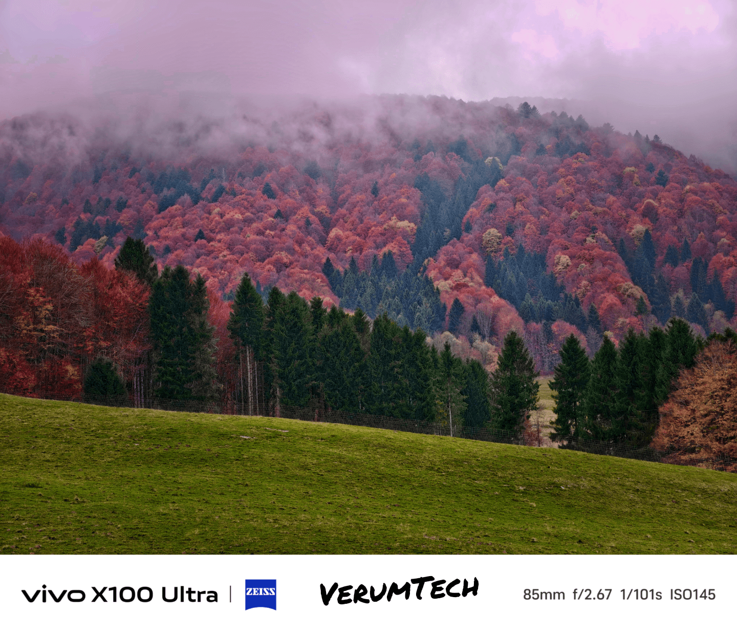 1440x1238 Shot on vivo X100 Ultra