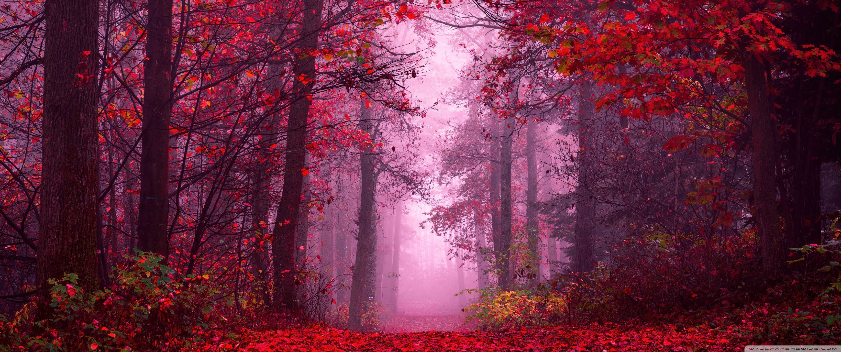 3440x1440 3440x1440 UltraWide 21:9 High Quality Desktop Wallpaper for UltraHD TV, Smartphone, Tablet