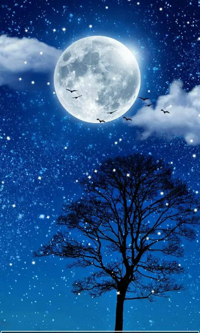 800x1328 By the way, full moon, birds, late, stars, clouds, tree, silhouette, night, good night, HD phone wallpaper