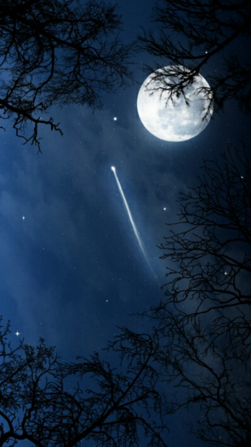 800x1422 Night sky, moon, stars, HD phone wallpaper