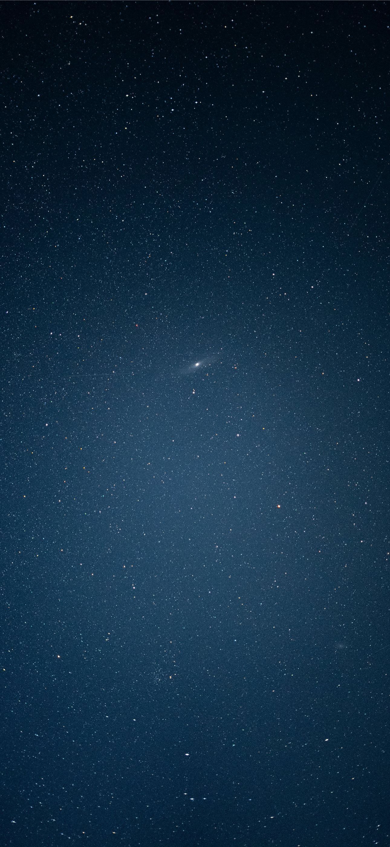 1290x2796 A dark blue sky filled with countless bright stars. iPhone Wallpaper Free Download