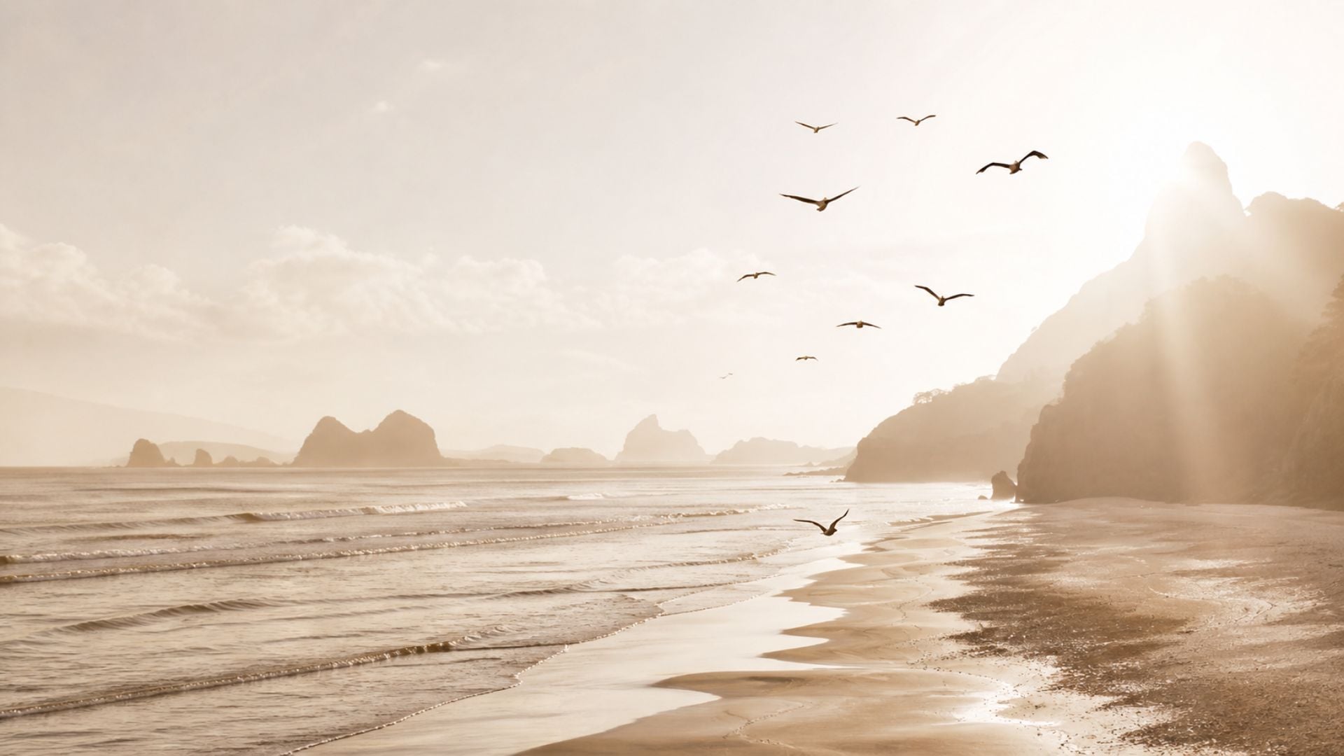1920x1080 Free Summer Desktop Wallpaper for a Bright Aesthetic Screen